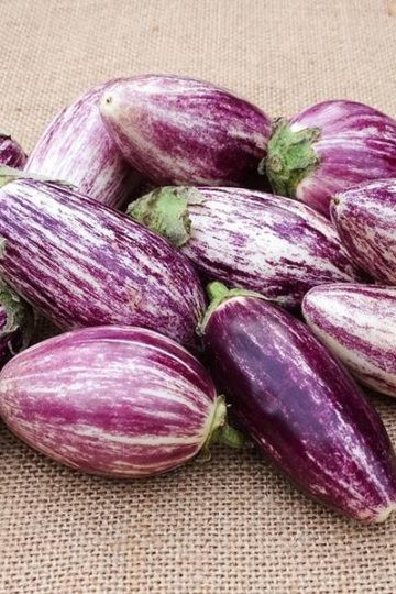 gestreepte aubergine op een ondergrond van jute